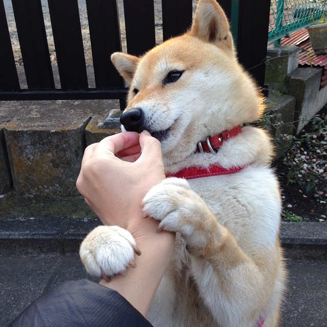 联合杯奇迹，辛纳的非大满贯高光如何改写网球价值坐标？