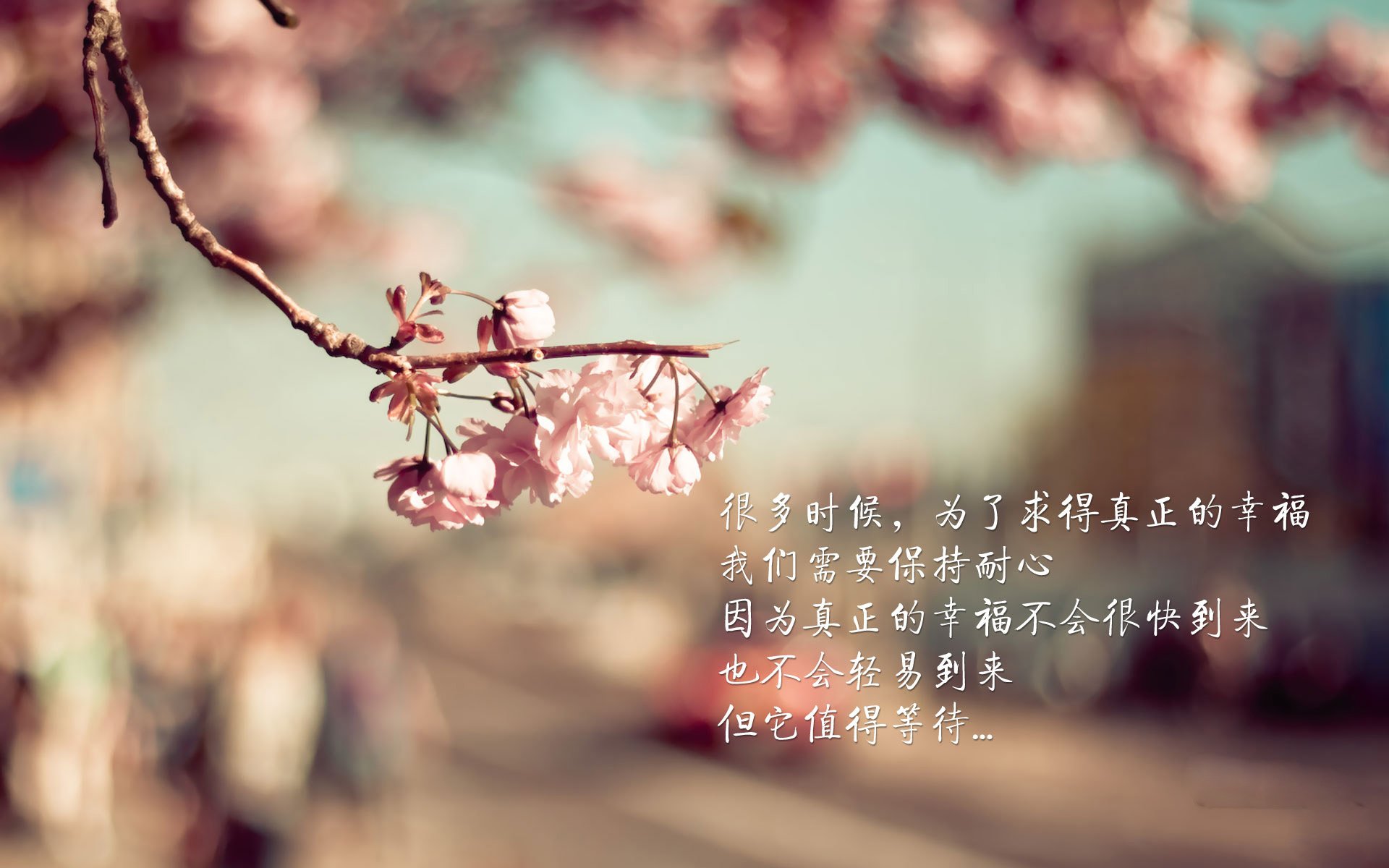 意甲焦点夜，梅西一场缺席的凌空抽射，存在感如何拉满