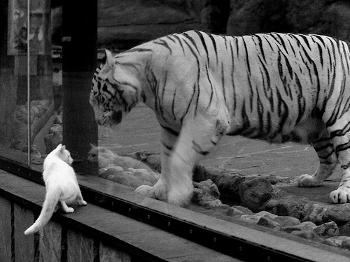 霍勒迪锁死库里？浙江闪电战击溃勇士，三分雨浇灭卫冕冠军！