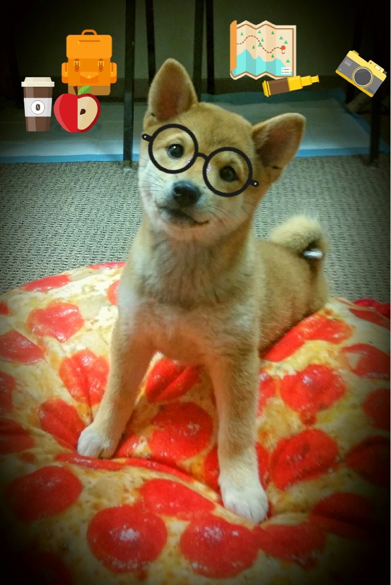 马克西决胜时刻化身关键先生,热火狂暴火力碾压开拓者