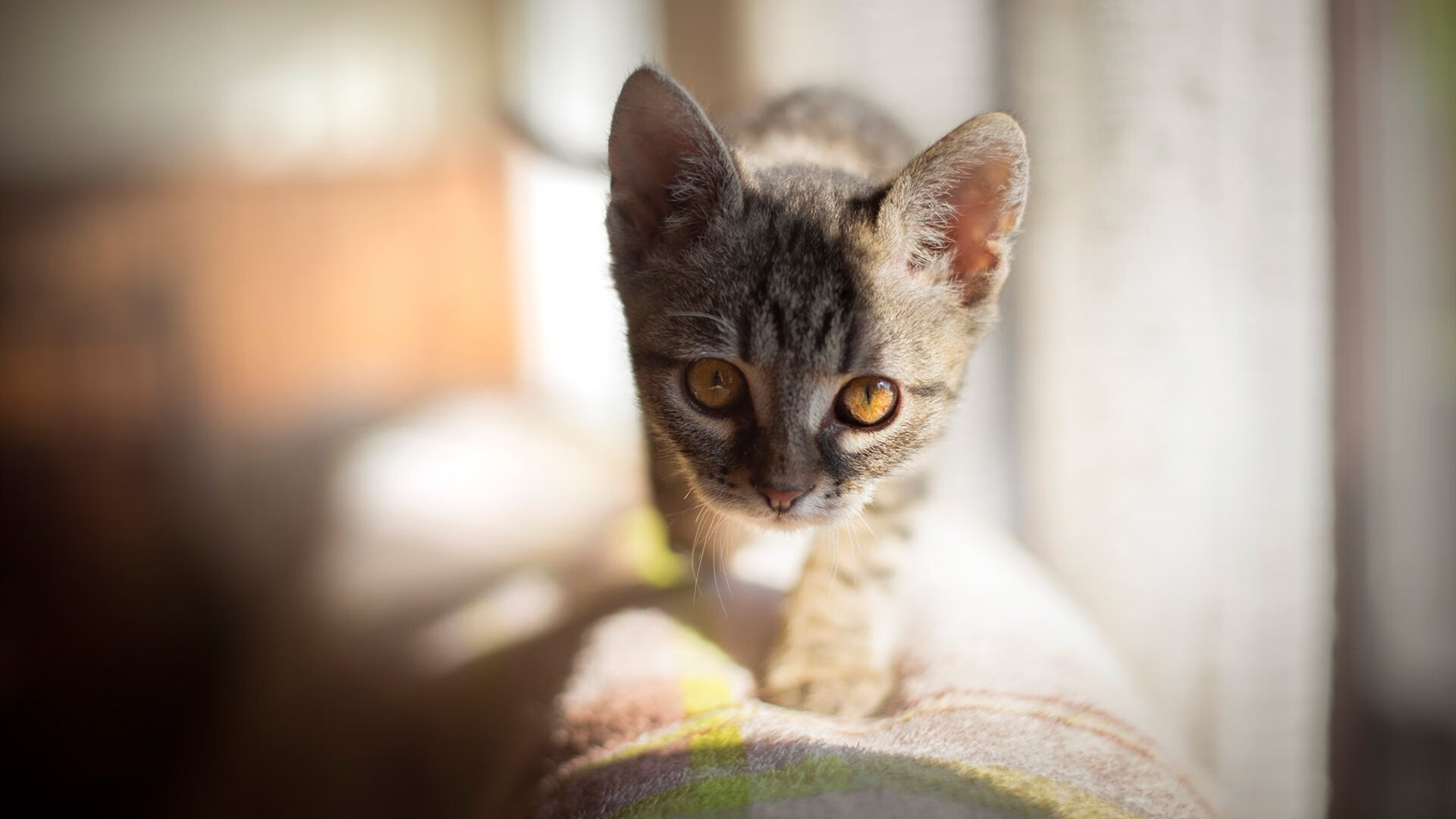 最后一秒的太阳,班凯罗如何用一记投篮定义了唯一?