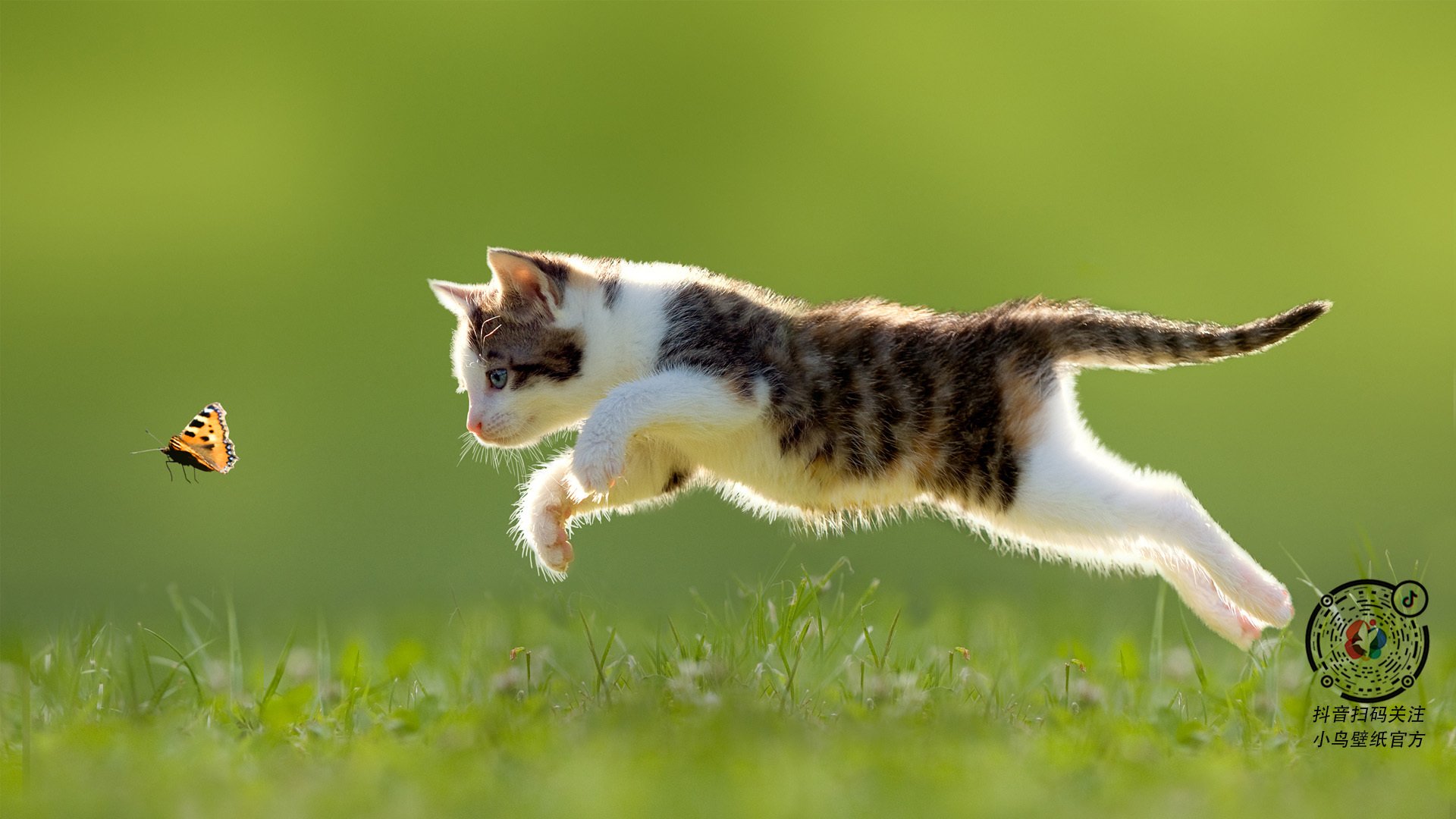 补时惊雷！丹麦终场绝杀红色巨人，而另一端姆巴佩正无人可挡地定义新时代