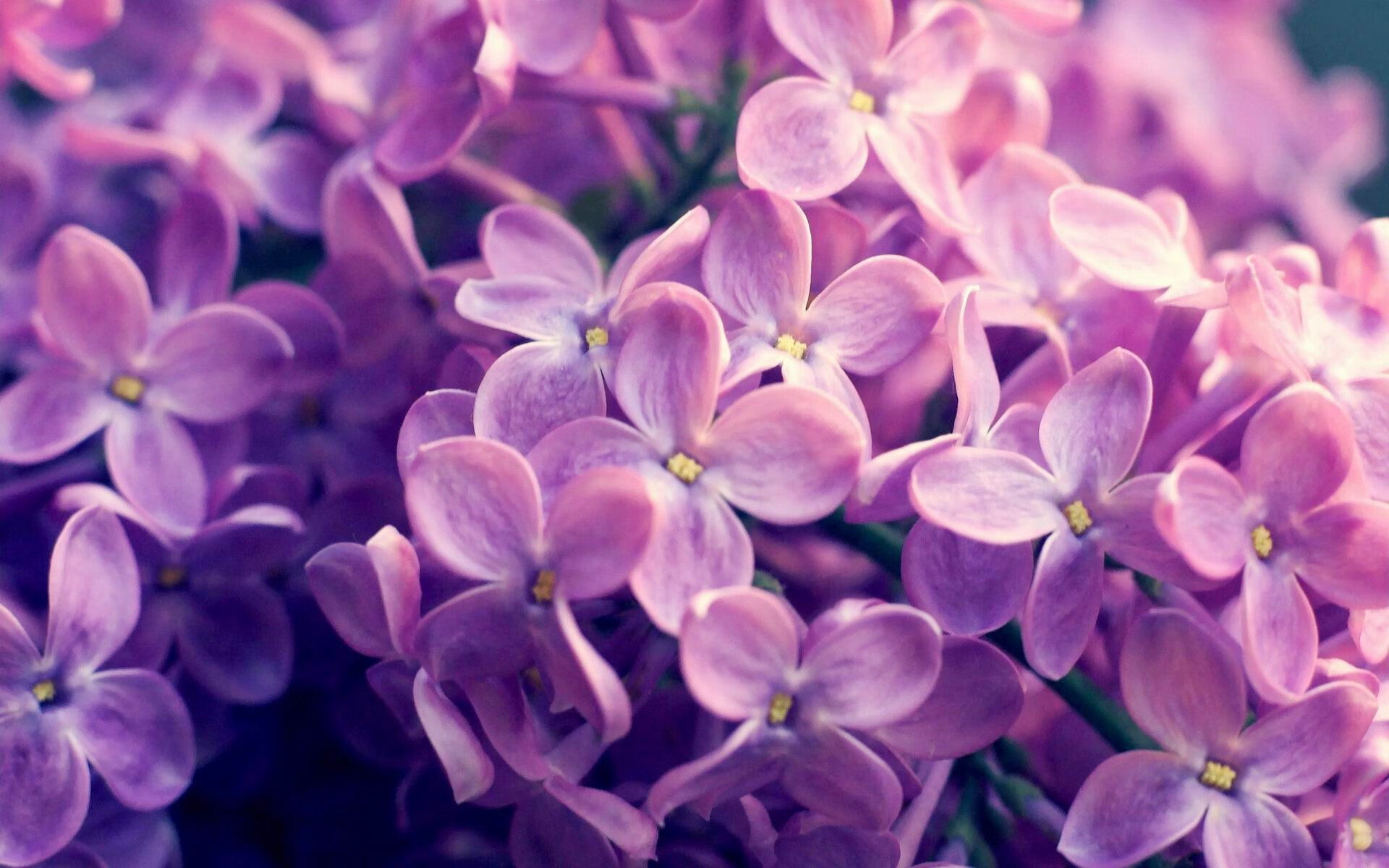 当黄金一代在雷克雅未克落幕,从比利时强行终结冰岛,到加维在英超接管比赛的时代隐喻