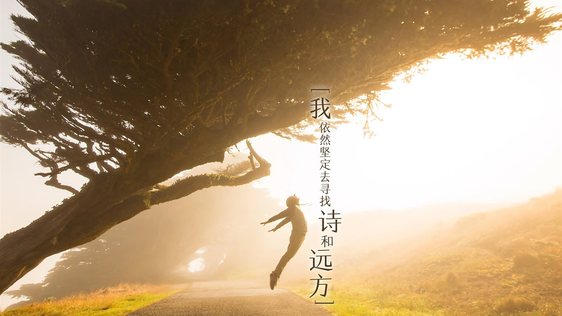 赛道与球场的生死一瞬，在0.001秒与终场哨间，何为真正的硬仗之王？