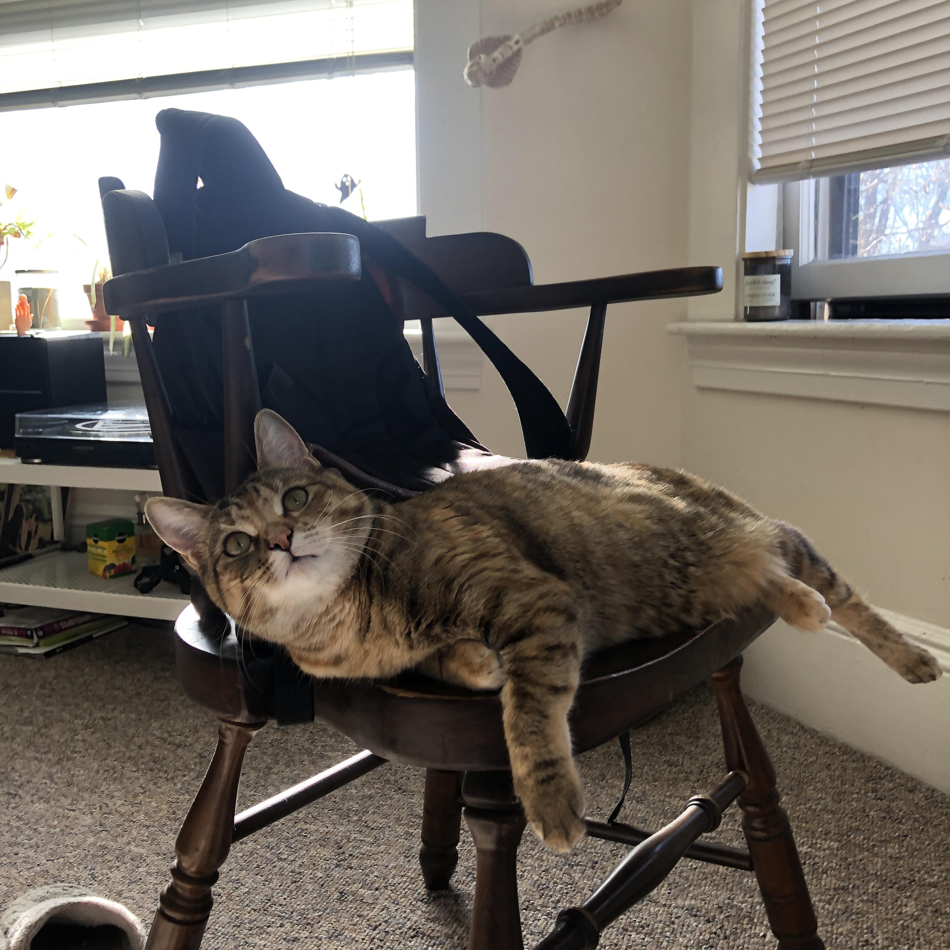 巅峰赛道与单骑破局