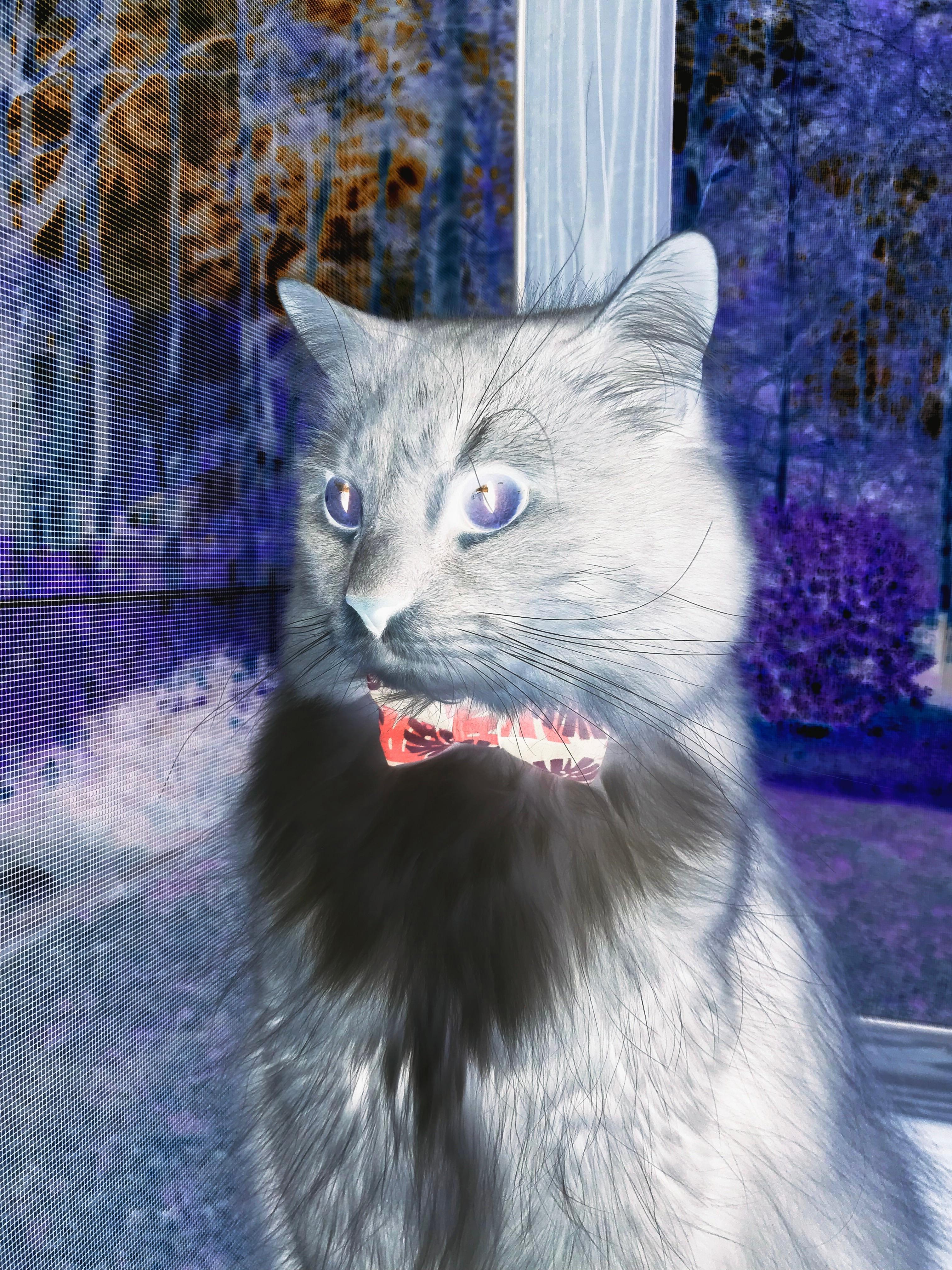 数据迷宫的破壁人，库里用一记错误选择终结掘金精密算法