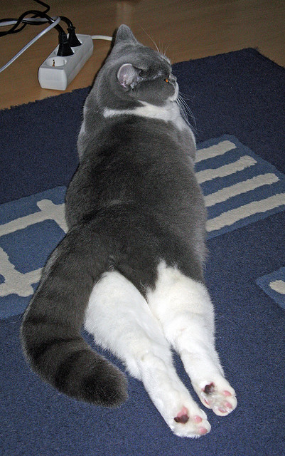 一球定乾坤！阿什拉夫精准制导，皇家社会友谊赛险胜哥伦比亚