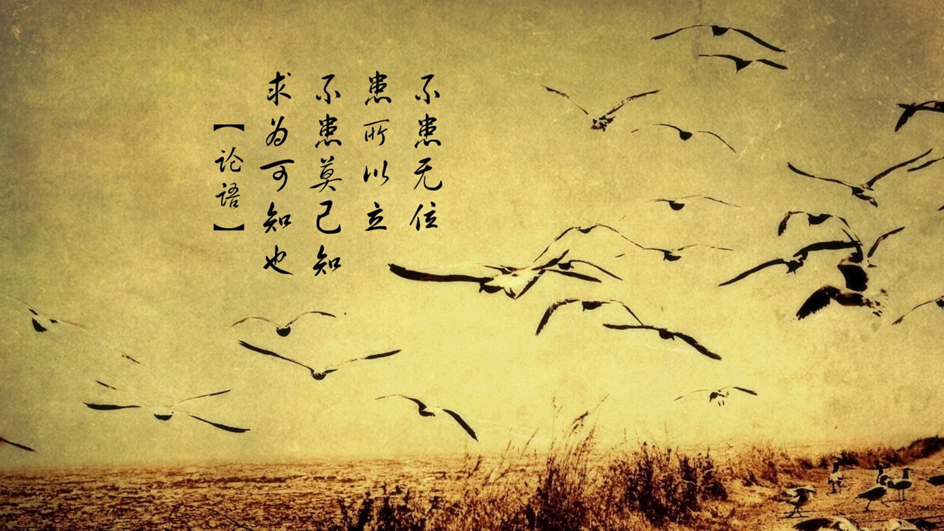 伊萨克数据全面爆炸,比利亚雷亚尔淘汰赛强势过关希腊