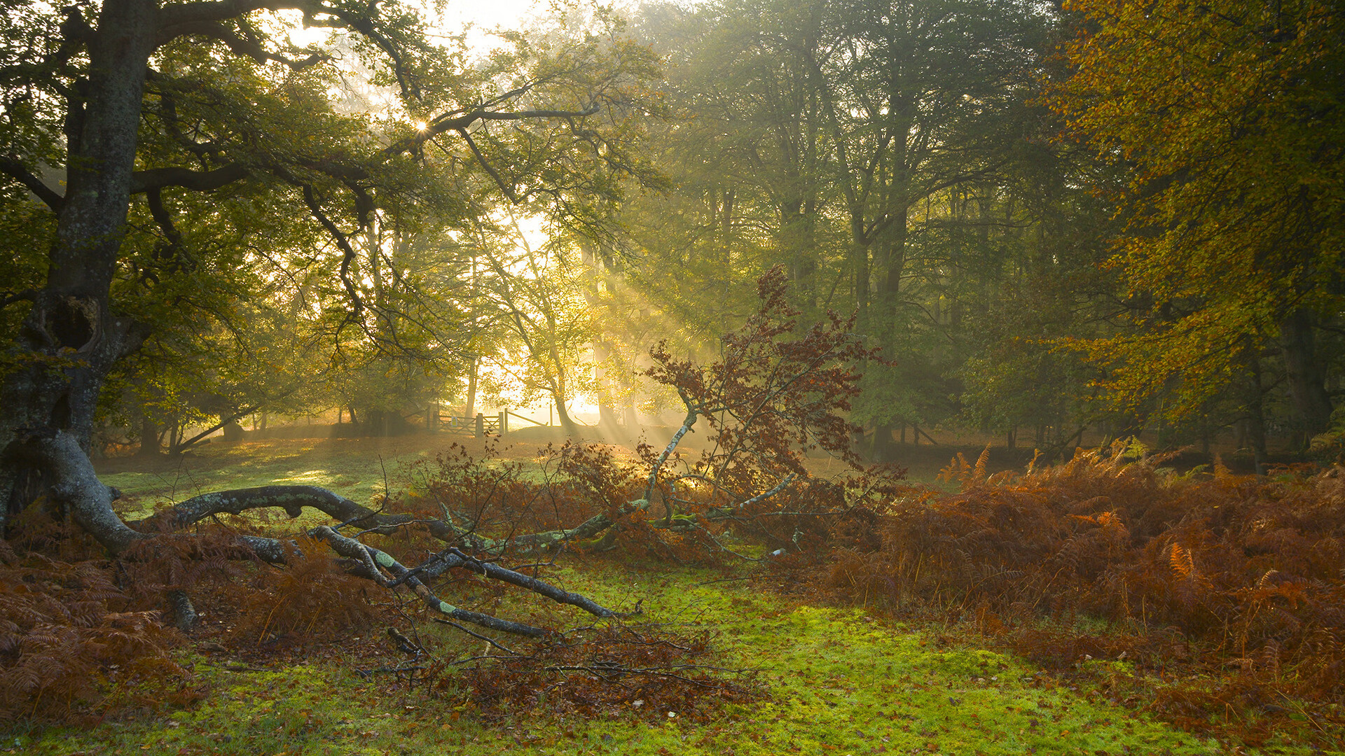 绿茵场与篮球场的胜利共鸣，美加墨世界杯焦点战与76人终结魔术的双重启示