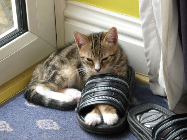 斗牛士之舞终结马赛迷雾，奥亚尔萨瓦尔的一剑封喉