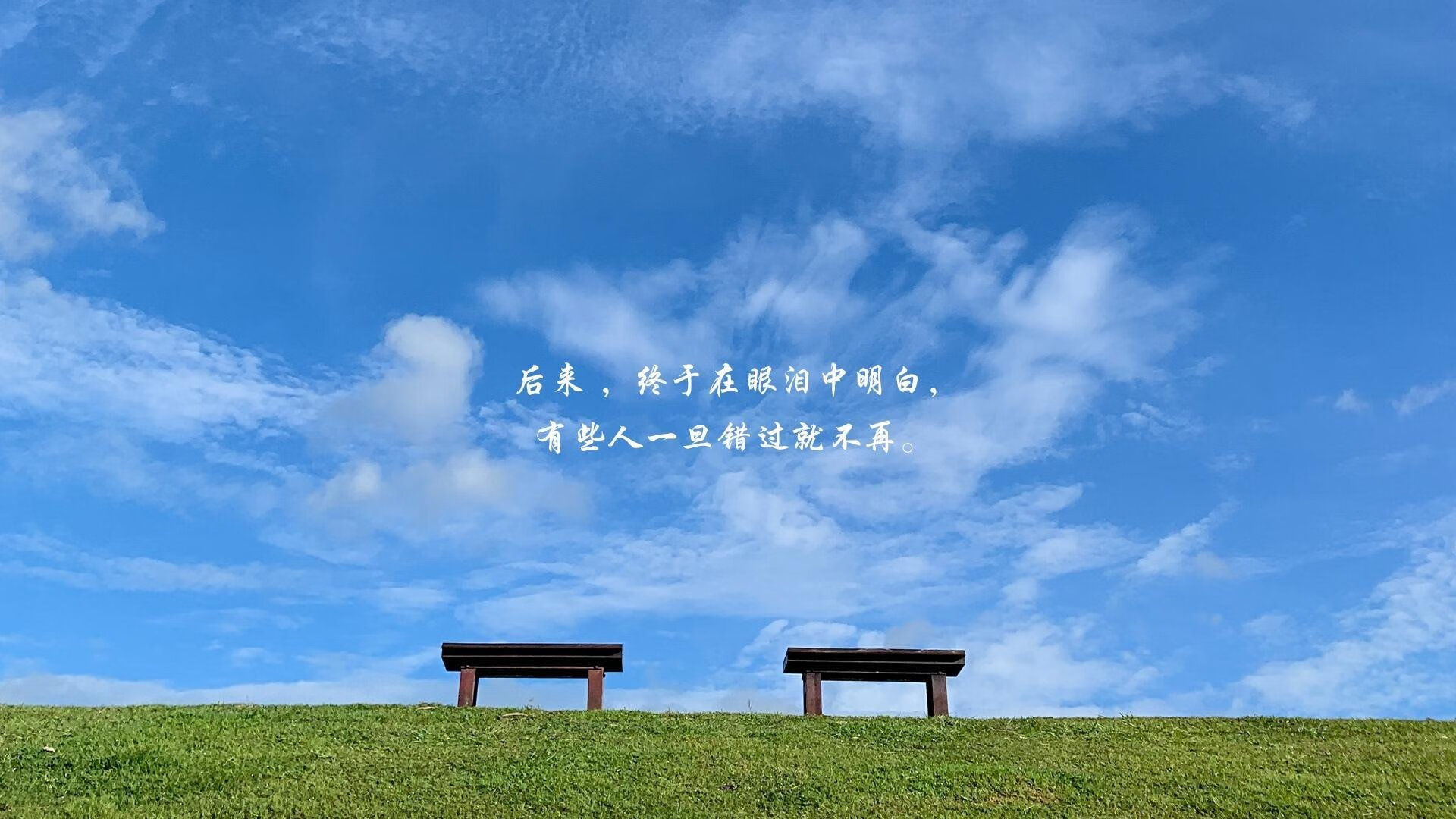 东决关键战之夜，范弗利特的沉寂者宣言