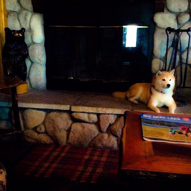 起跑线上的瞬间与全场压制,速度与耐力的体育艺术