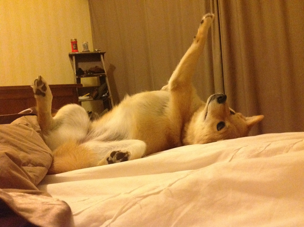 铁闸与利刃,当硬仗之王门迪将意甲巅峰对决铸成个人丰碑