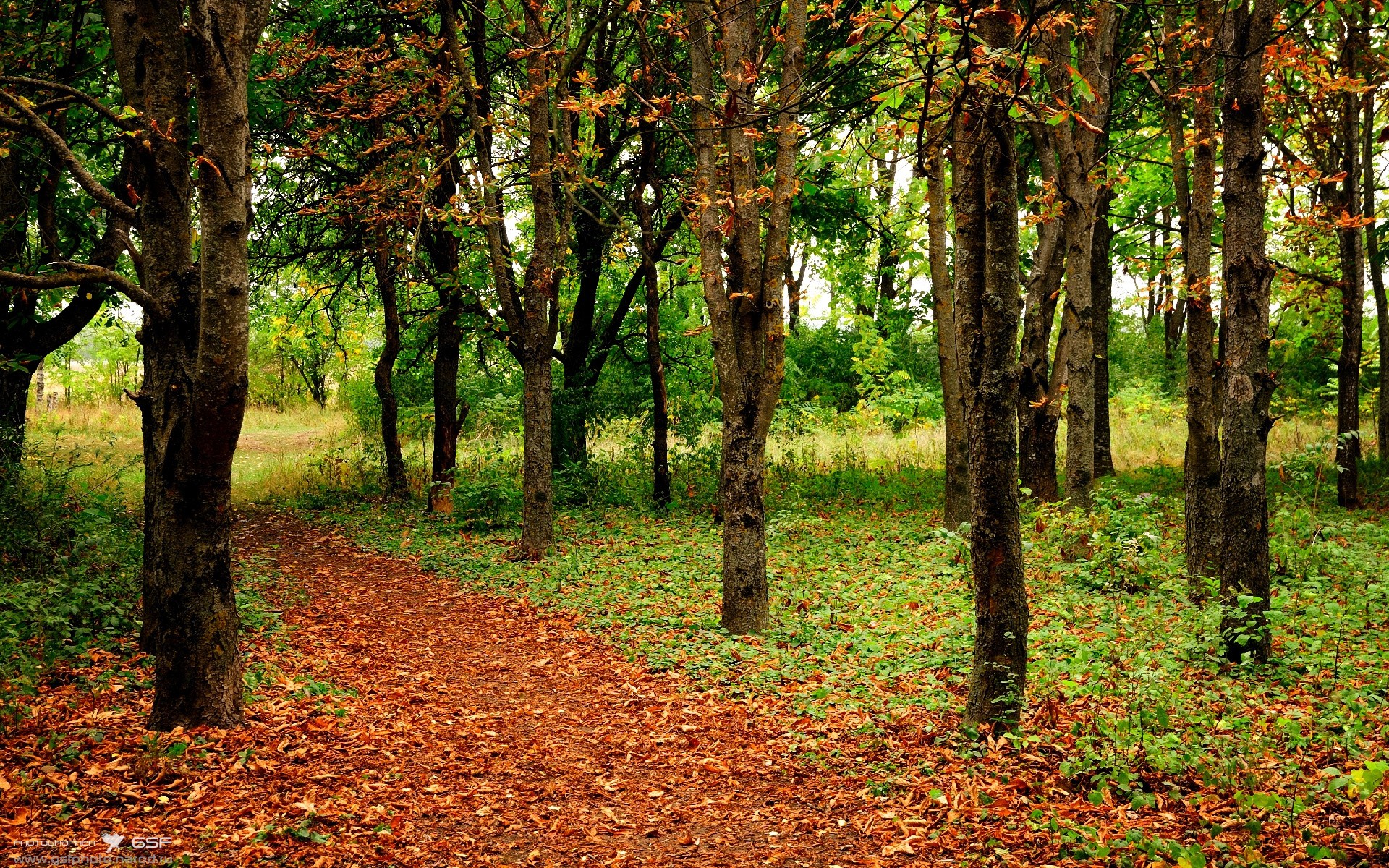 足球的舞台哲学,从本泽马到蓝桥的胜利