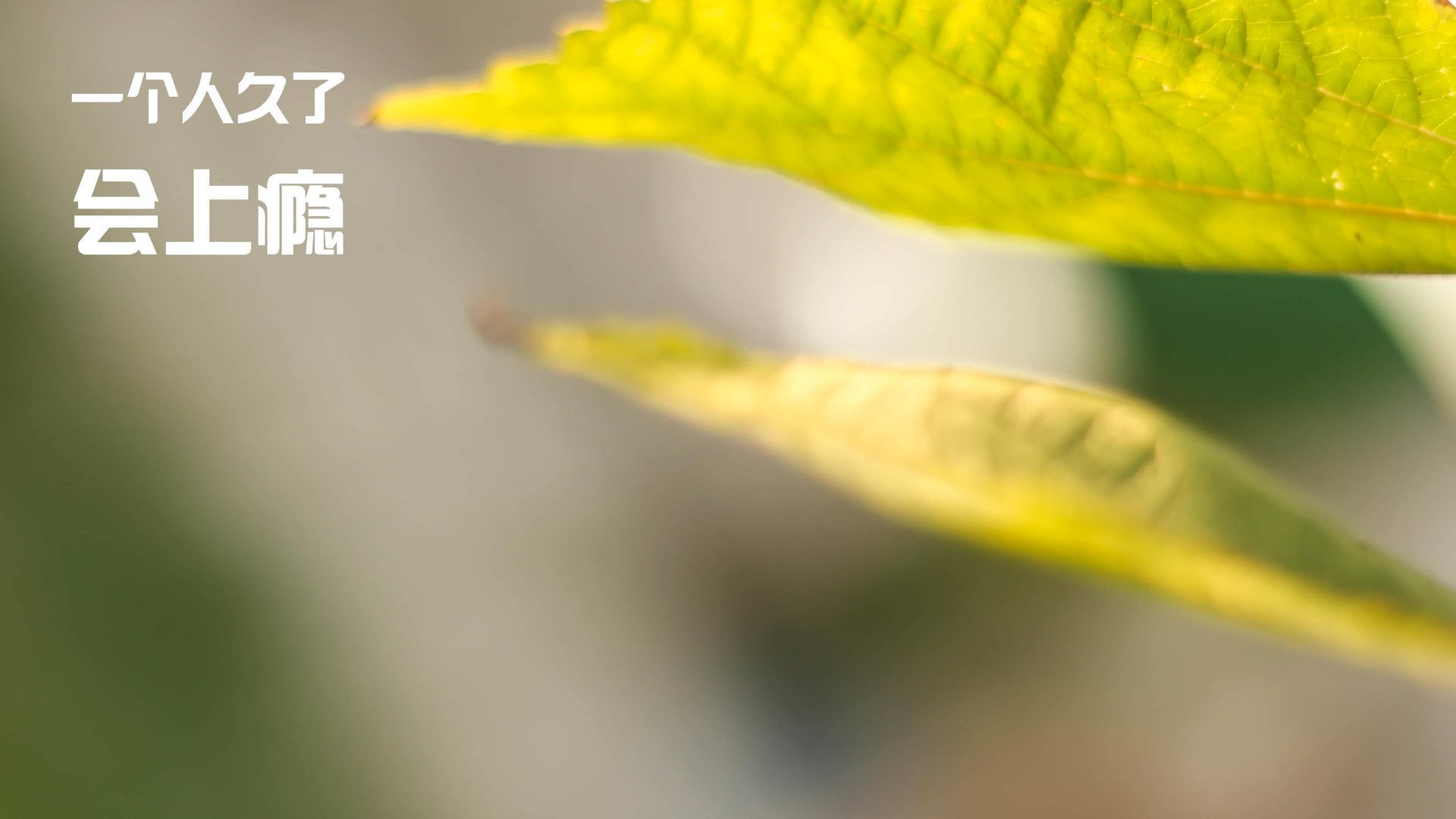 剑与盾的对决,吉林血拼山西,欧文40分封神之战