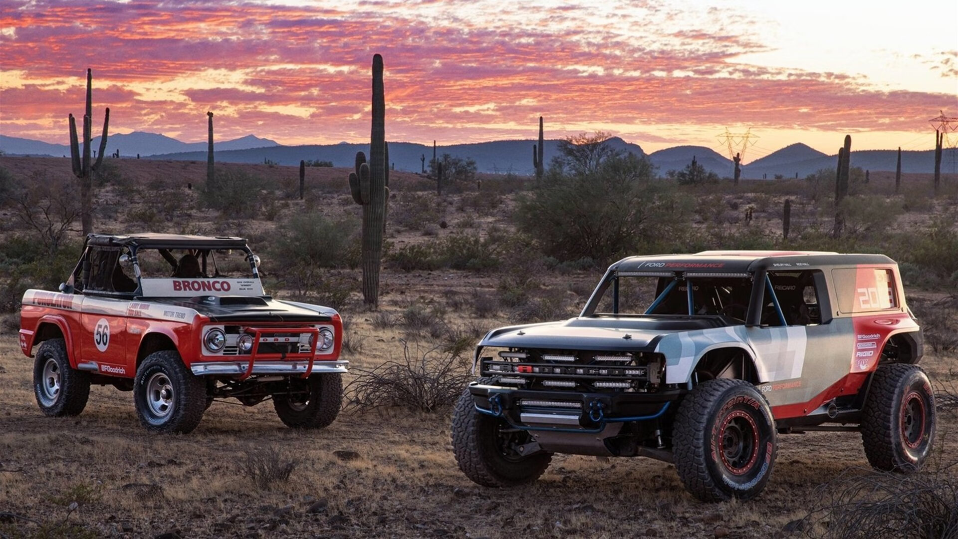 现代篮球启示录,戈贝尔存在感拉满,勇士用冠军基因给浙江队上了一课