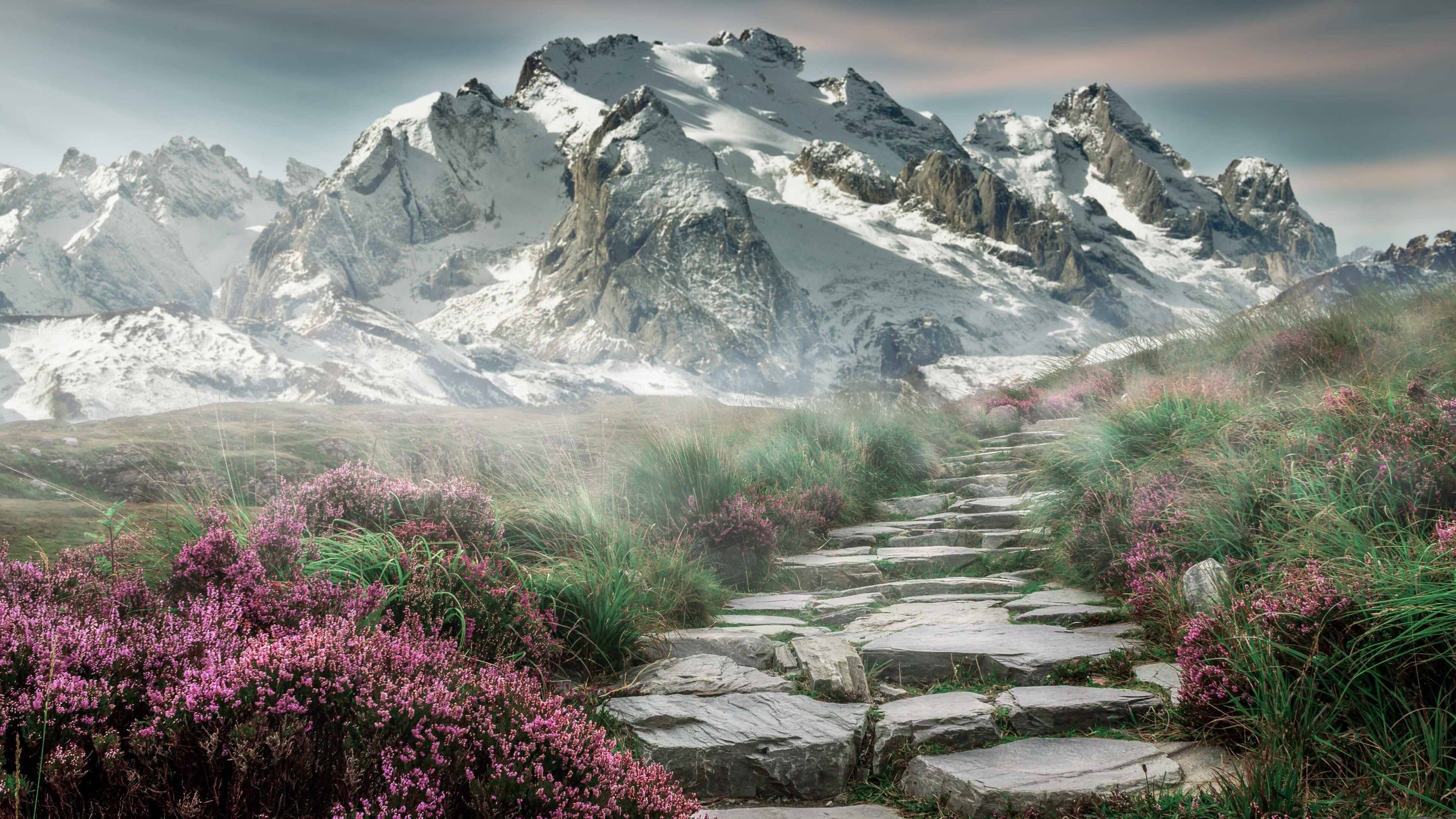 南十字星下的守望，一场足球如何成为乌克兰的极光