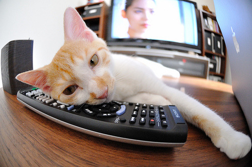 新时代的碰撞,文班亚马与恩比德,两场对位定义篮球未来