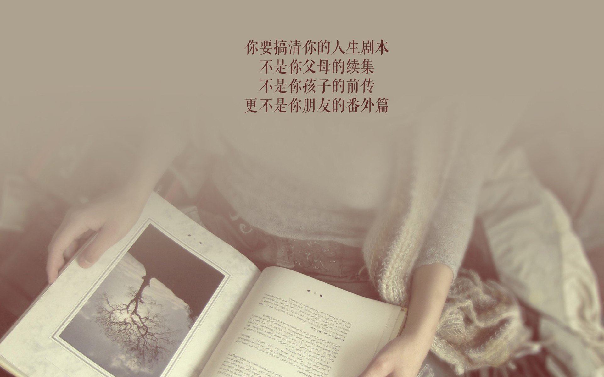 橙色风暴席卷基多,2026世界杯D组关键战,荷兰以攻为刃大破厄瓜多尔